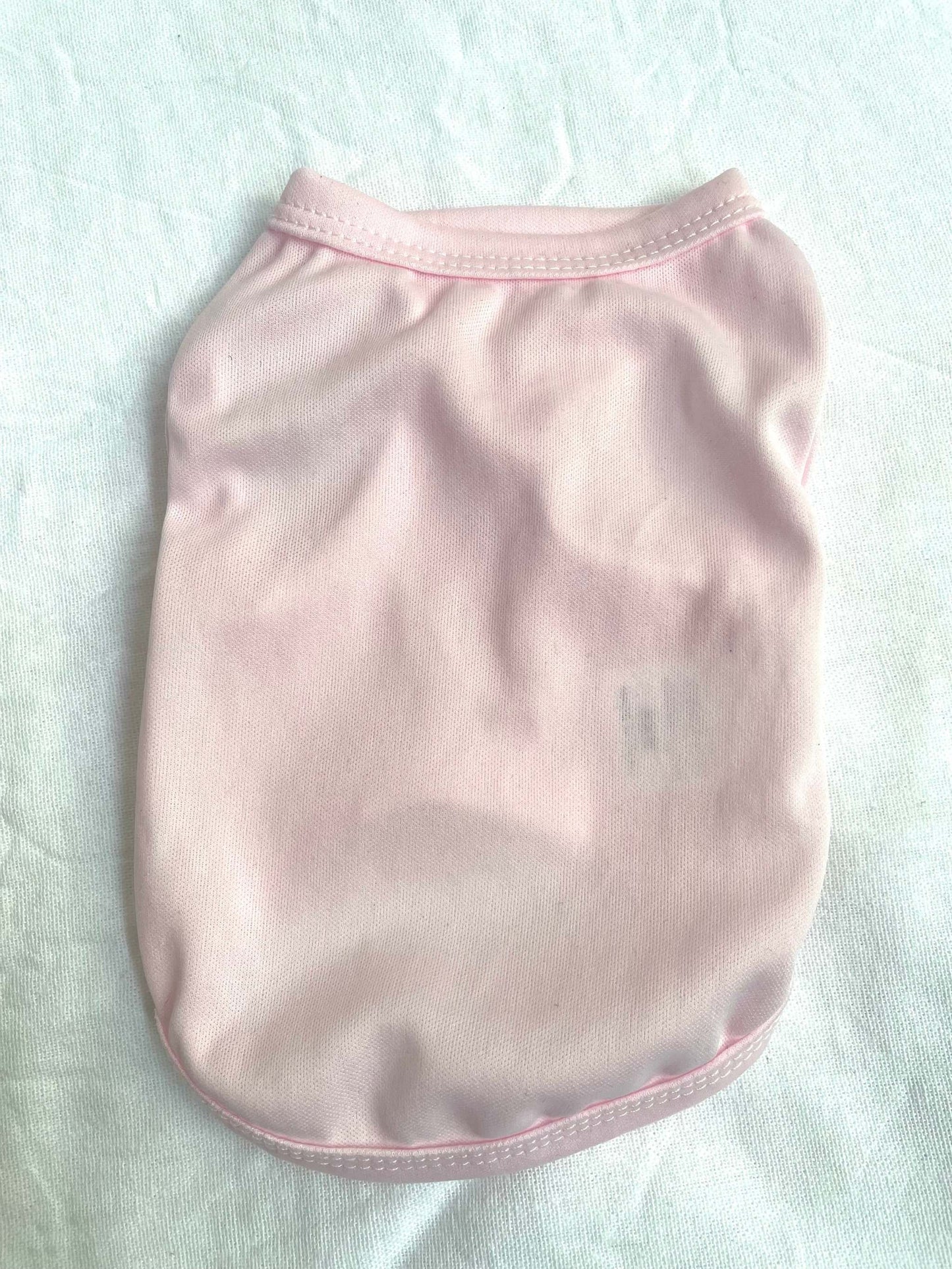 Chihuahua Puppy Sun Shirt