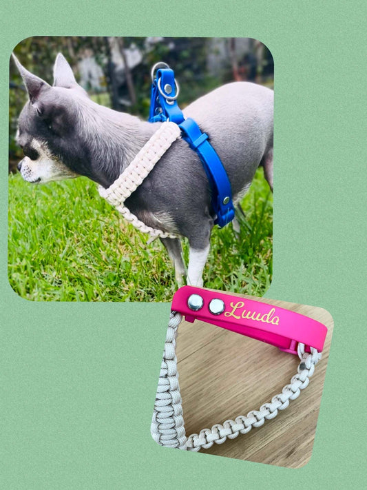 Custom Pocket Pooch Harness