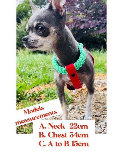 Custom Chihuahua Harness