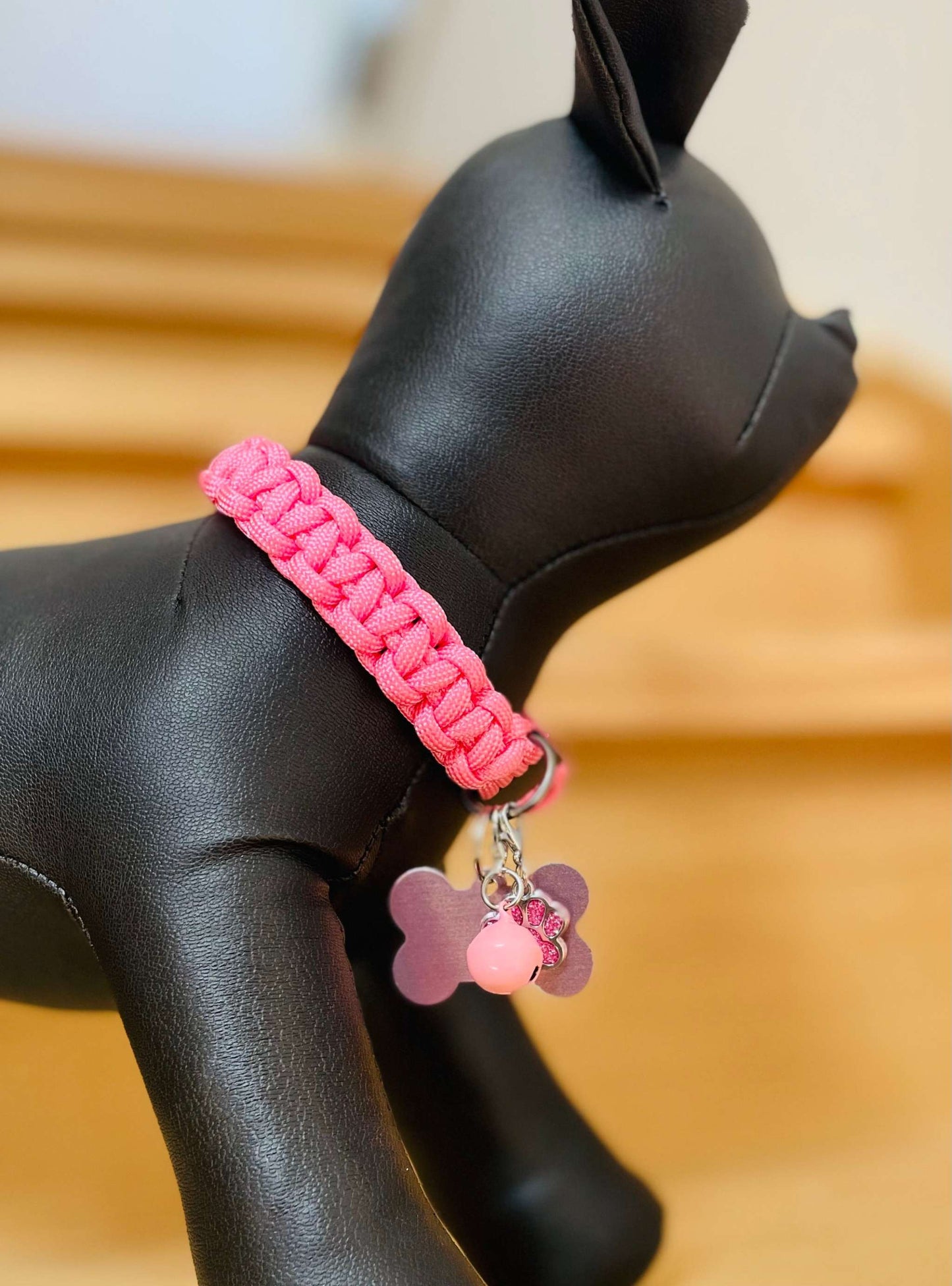 Puppy Collar