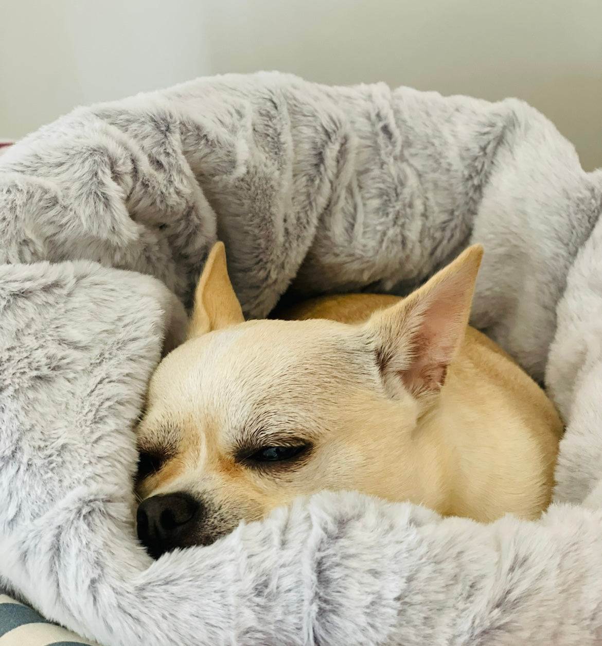 Pocket Pooch Plush Sleep Sack Bed