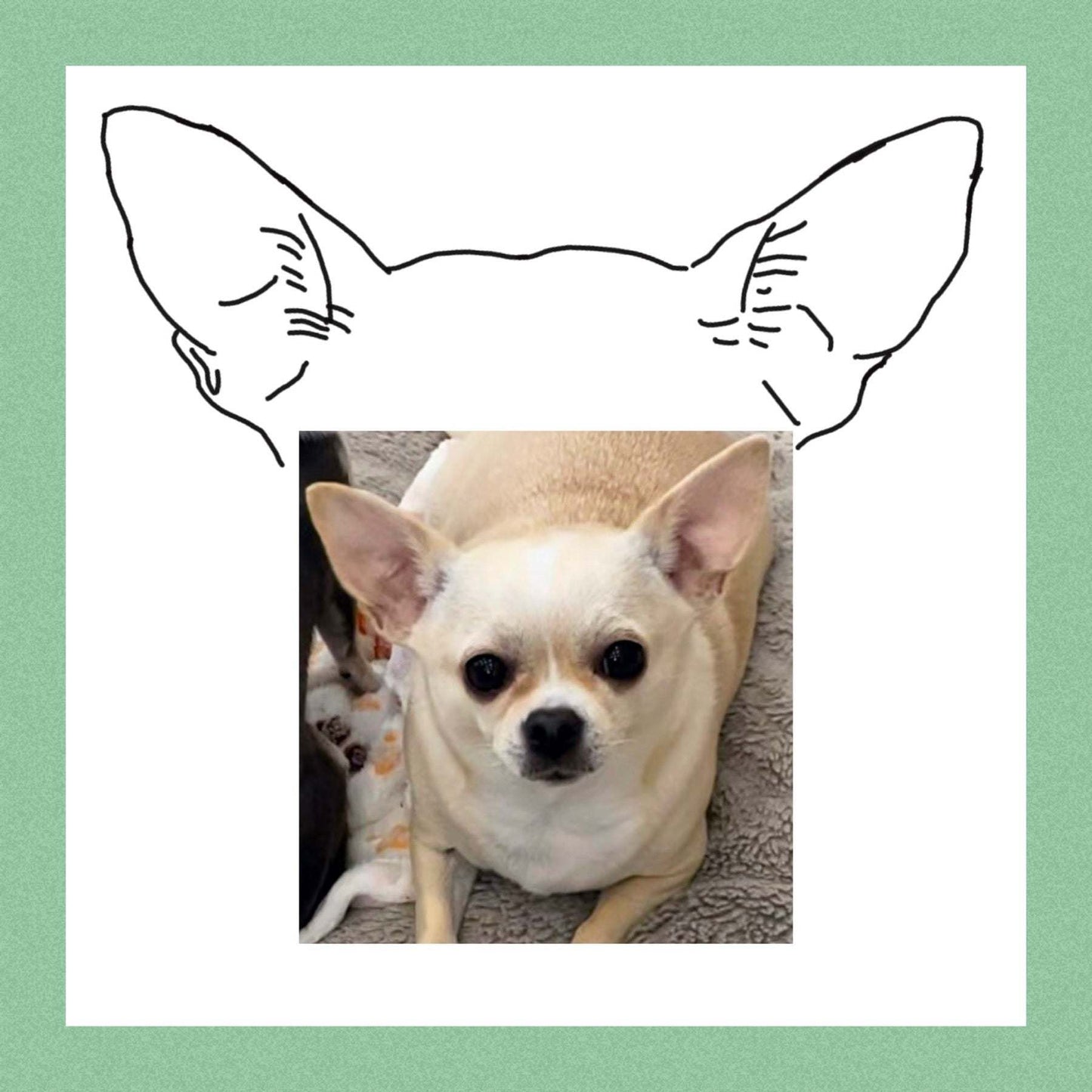 Custom Pet Ear Portrait h ear