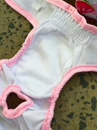 Chihuahua Diapers