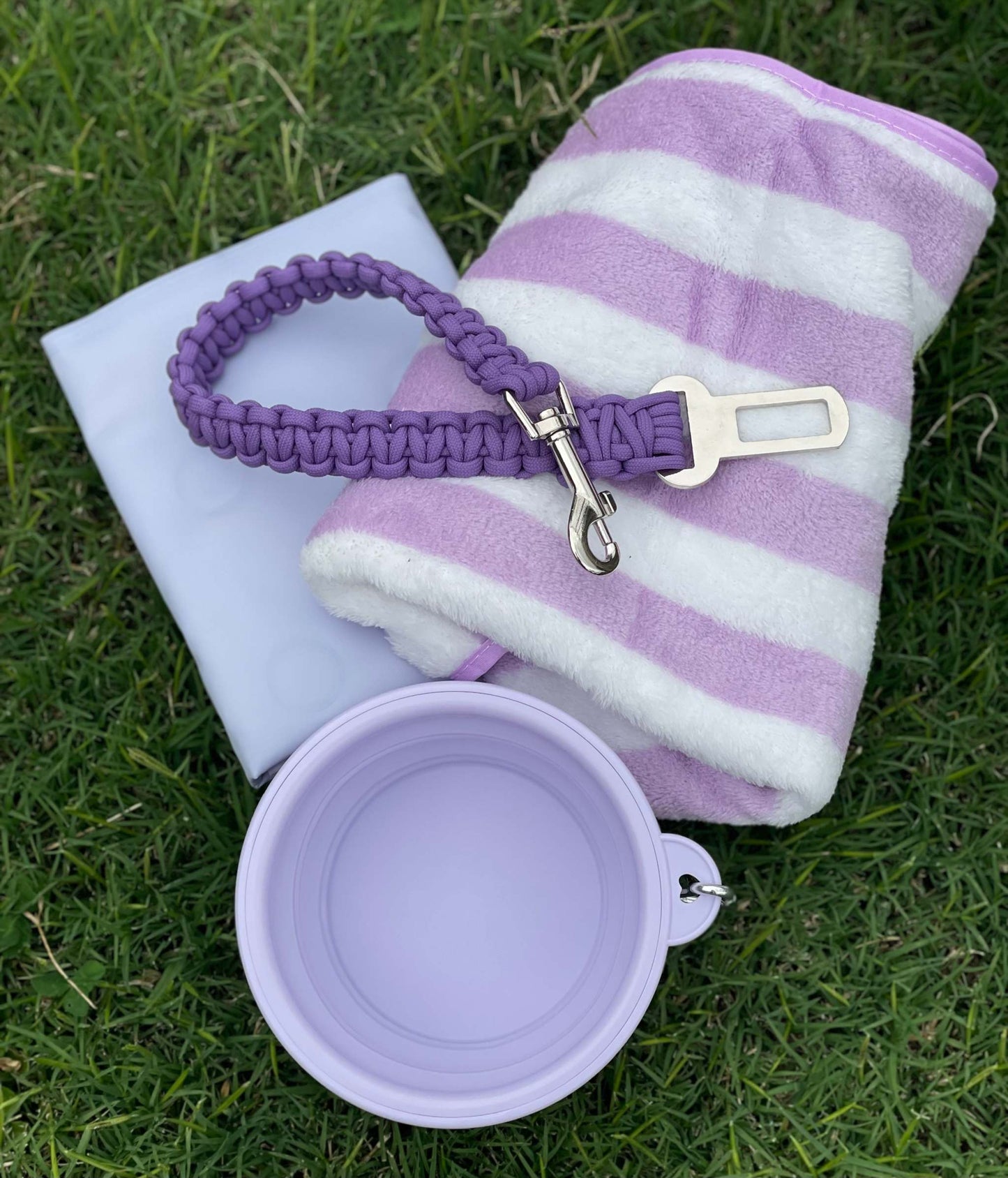 February Pooch Pack, Personalised Mid summer fun for you and your pooch