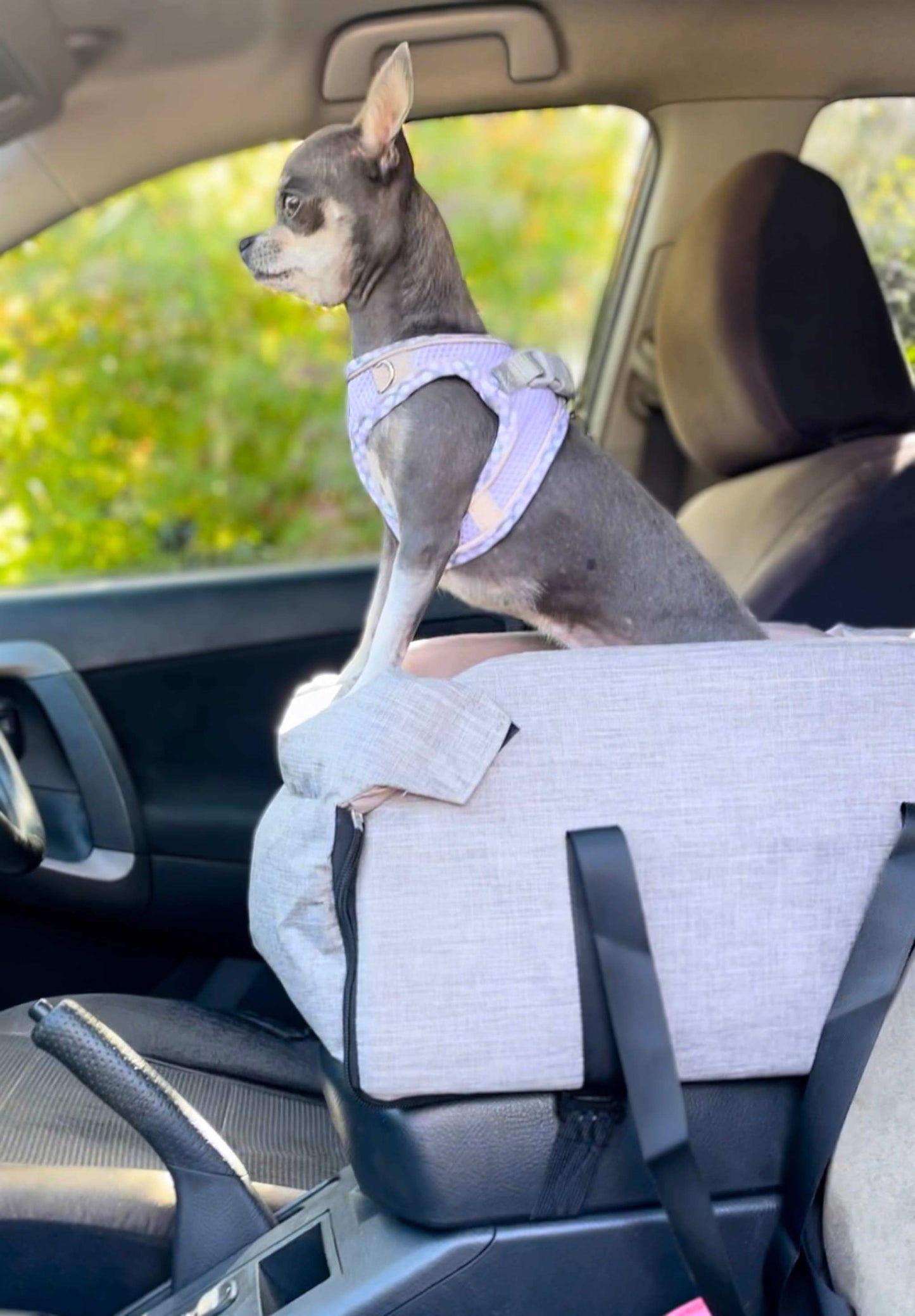 Pet Console Car Seat