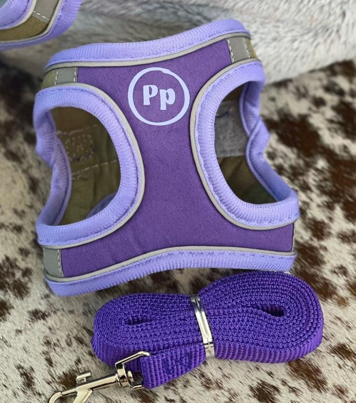 Chihuahua puppy harness set with matching leash, featuring soft padded design and reflective strips for safety.