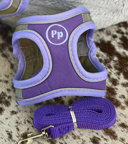 Chihuahua puppy harness set with matching leash, featuring soft padded design and reflective strips for safety.