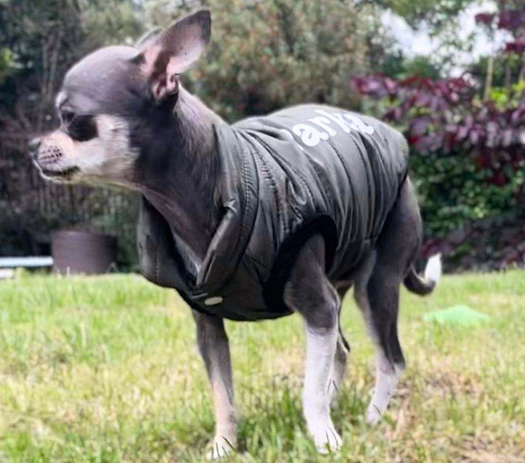 Dog Coats, jacket, vest, puffer, all day wear for small dogs
