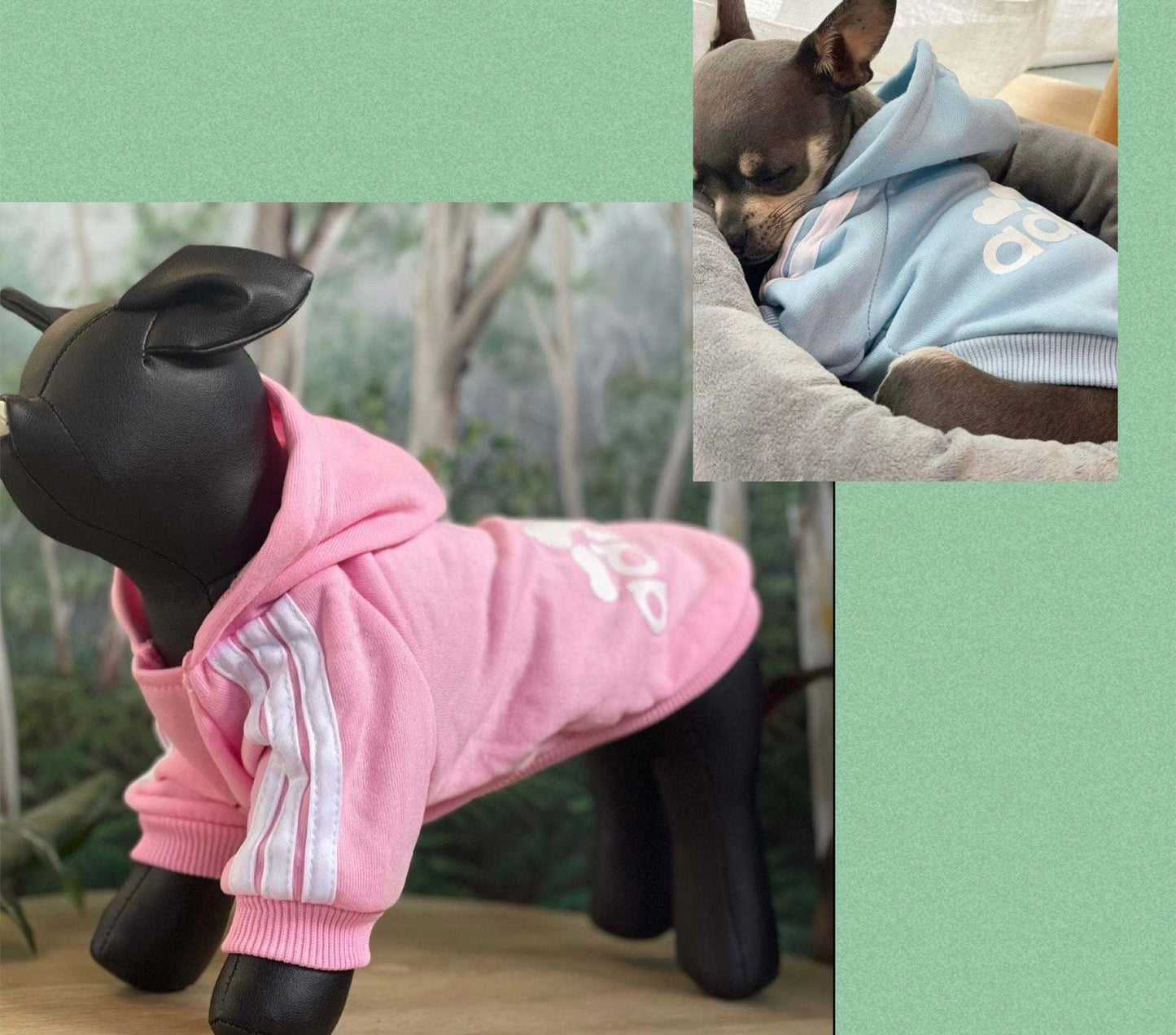 Personalised Dog Hoodies 