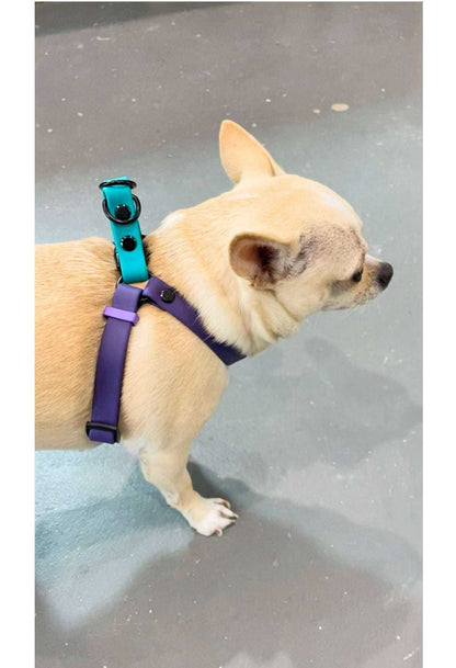 Chihuahua Adjustable step in harness Adjustable step in harness