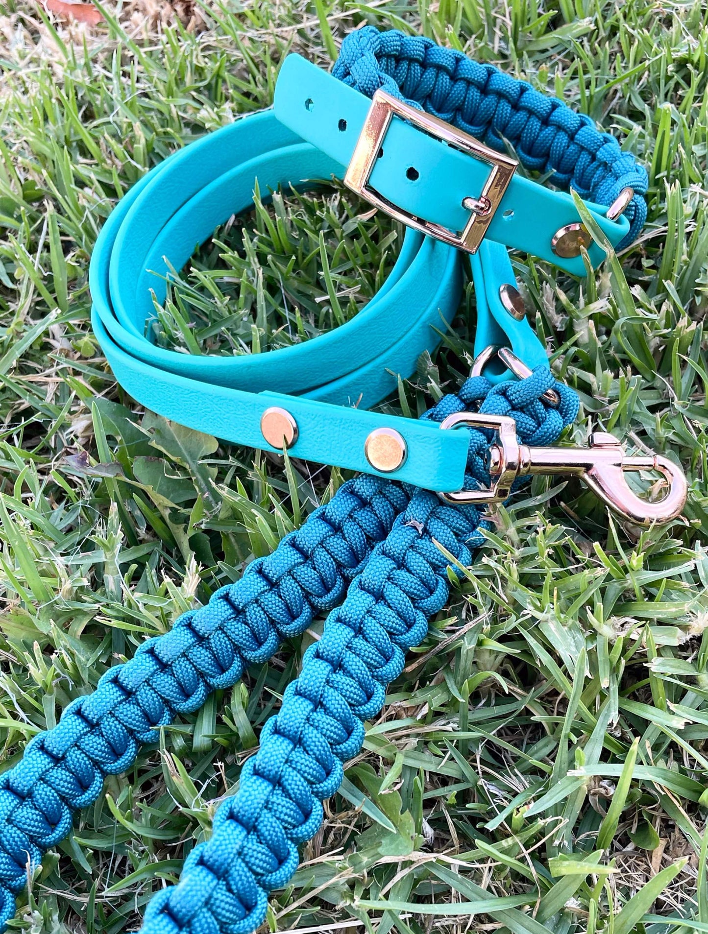 Small Dog Collar 