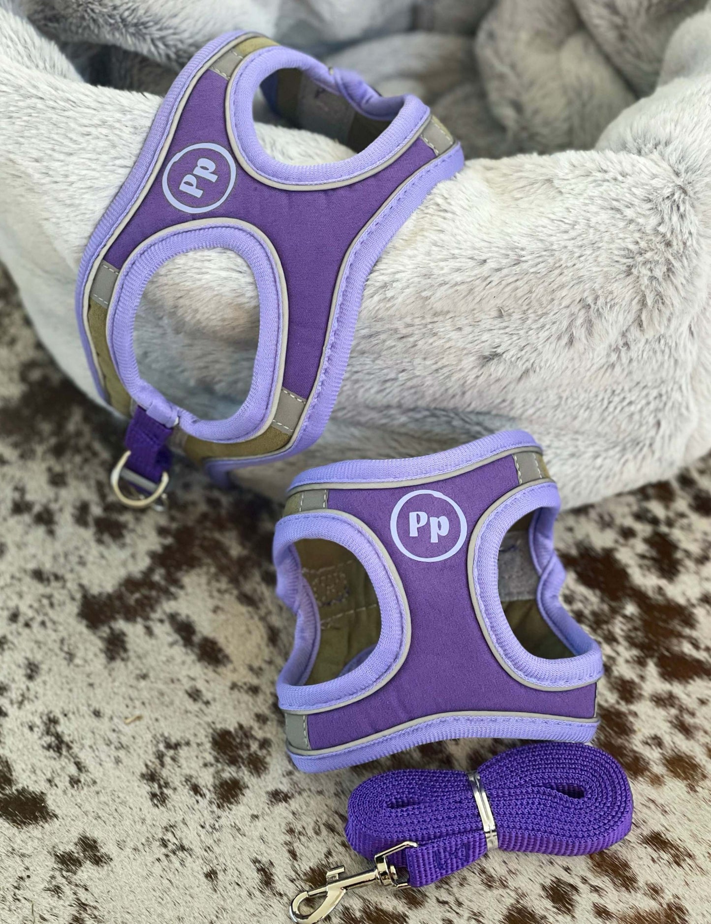 Chihuahua Harness Set