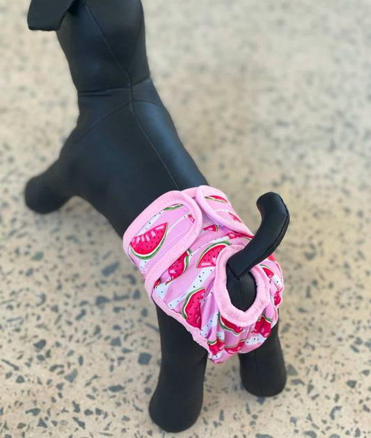 Chihuahua Diapers