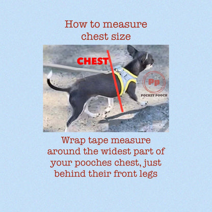 Pocket Pooch Harness Set, adjustable step in harness and leash.